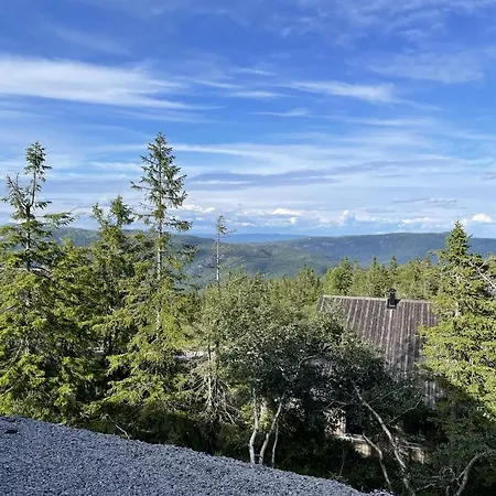 Stylish At Lifjell With Jacuzzi And Sauna